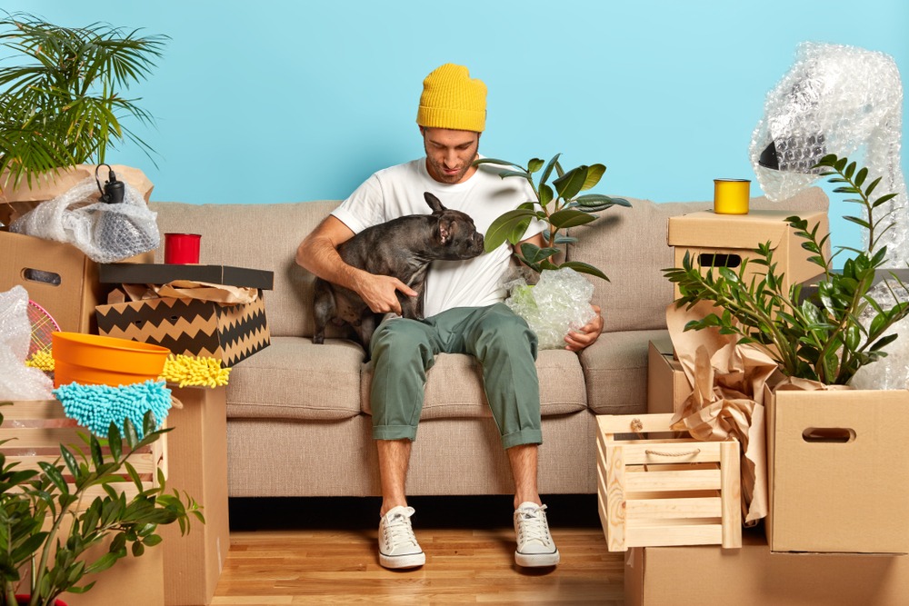 How to prepare for a smooth move with pets
