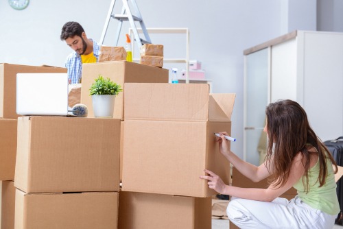 local or long distance movers transport